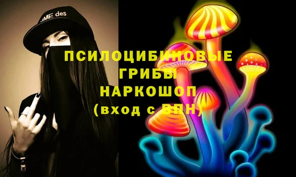 стафф Алзамай