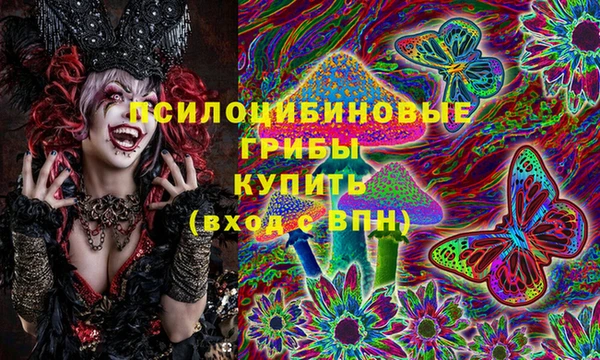 МДПВ Алексеевка