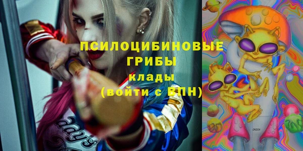 spice Алексин