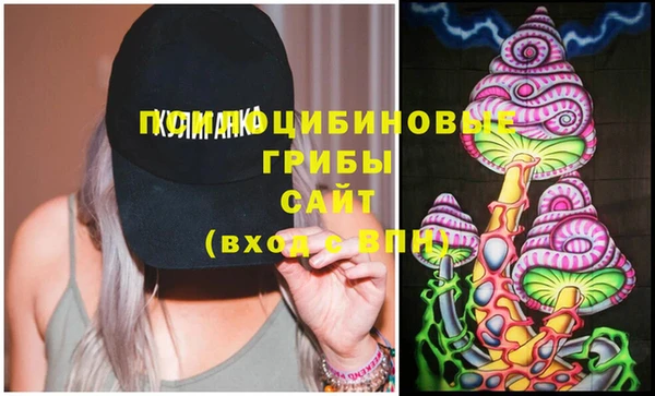 spice Абинск