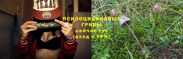 spice Алексин