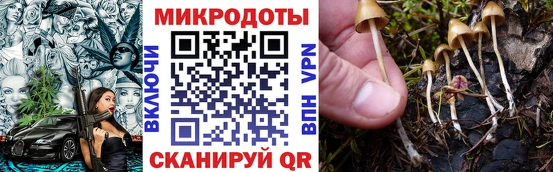 продажа наркотиков Солигалич Псилоцибиновые грибы Psilocybine cubensis