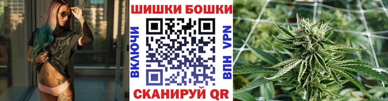 закладки  Солигалич  Бошки Шишки OG Kush 